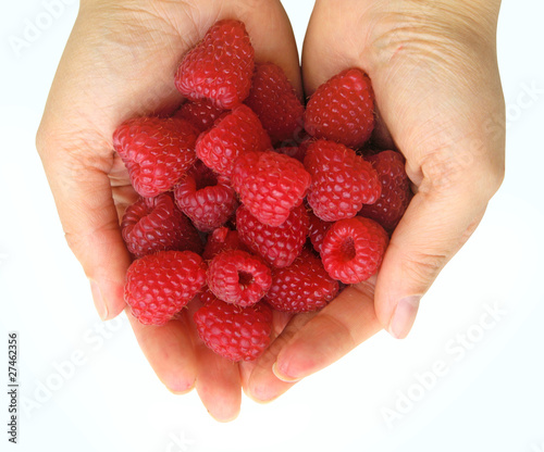 Raspberry on palms