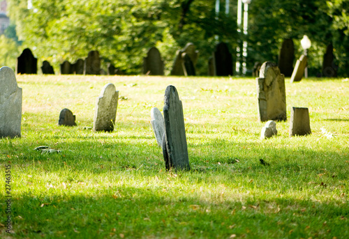 Cemetery with many tombstones on the bright day