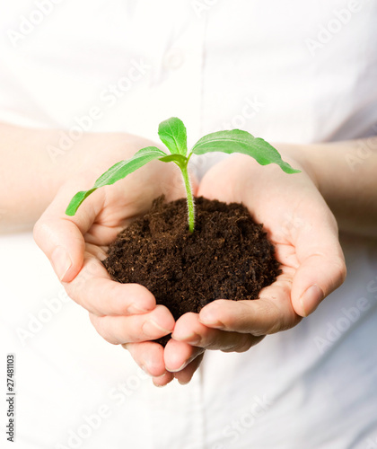 Sustainability and the Environment- Hand holding new plant
