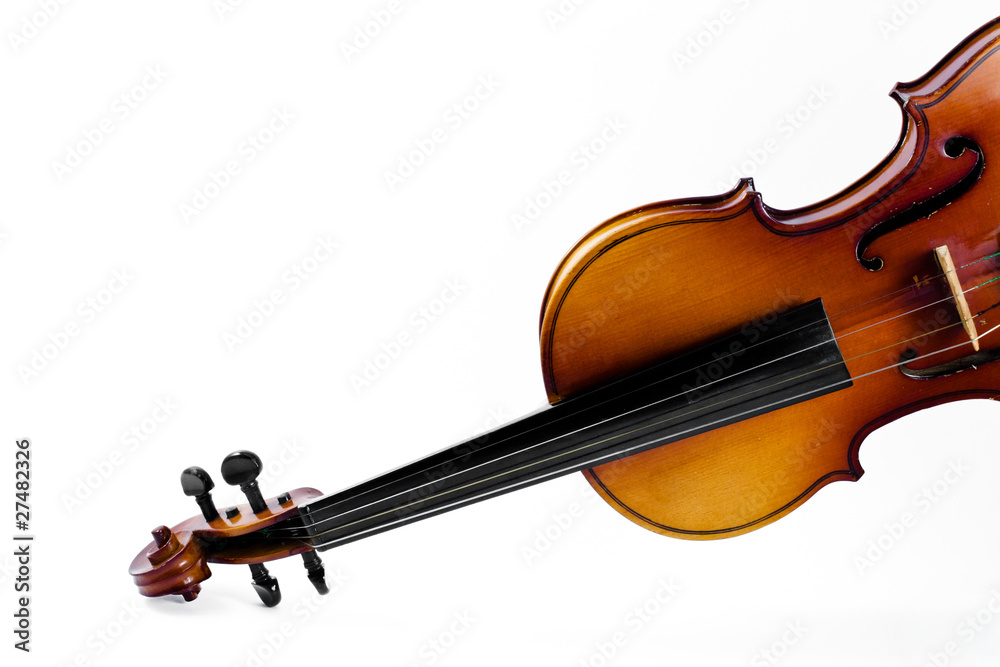 Fototapeta premium violino