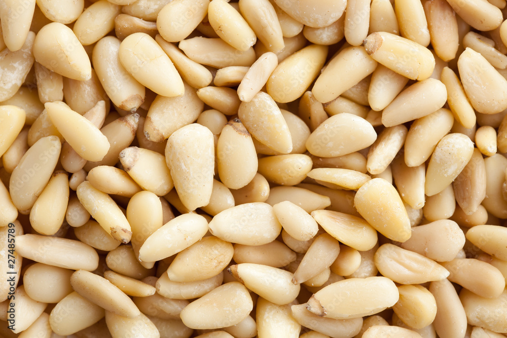 pine nuts background pine nuts background