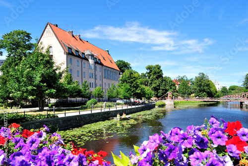 Flowering Uppsala. Sweden