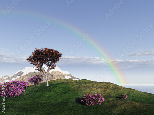 paisaje con arcoiris photo