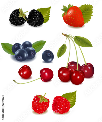 Fototapeta Naklejka Na Ścianę i Meble -  Photo-realistic vector. Group of berries.