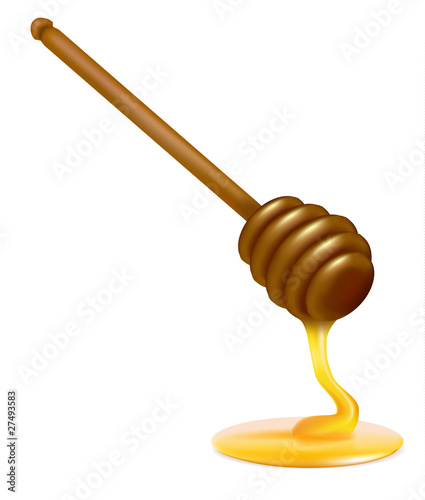 Honey dipper. Photo-realistic vector illustration.