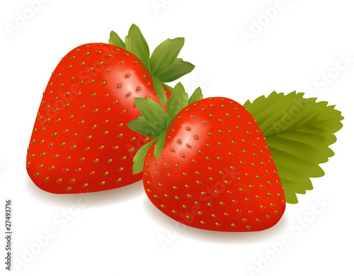 Two strawberries with leaves . Vector.