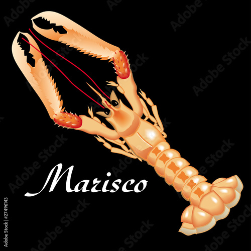 cigala, marisco crustáceo