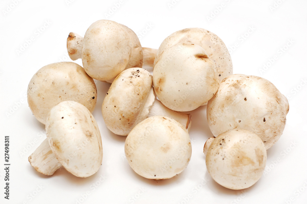 Fresh raw mushroom (champignon) on white background Fresh raw mushroom (champignon) on white background