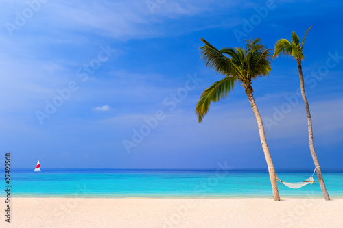 Fototapeta Naklejka Na Ścianę i Meble -  Hammock on a tropical beach