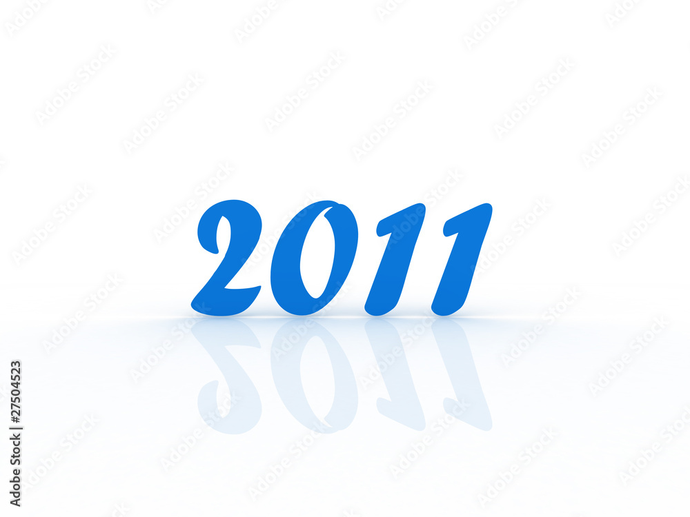 2011 2011