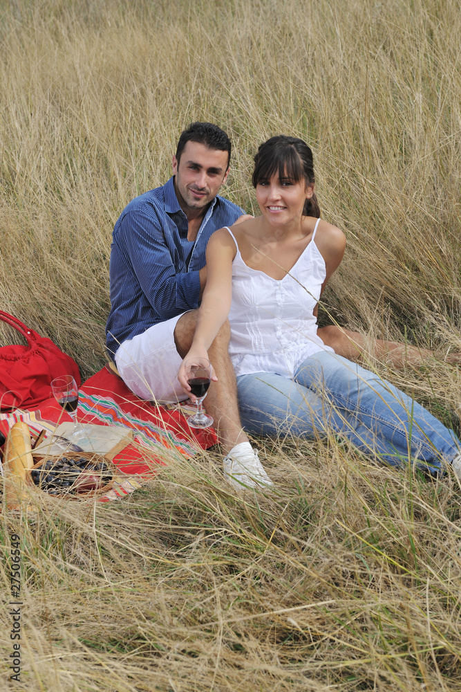 happy couple enjoying countryside picnic in long grass happy couple enjoying countryside picnic in long grass