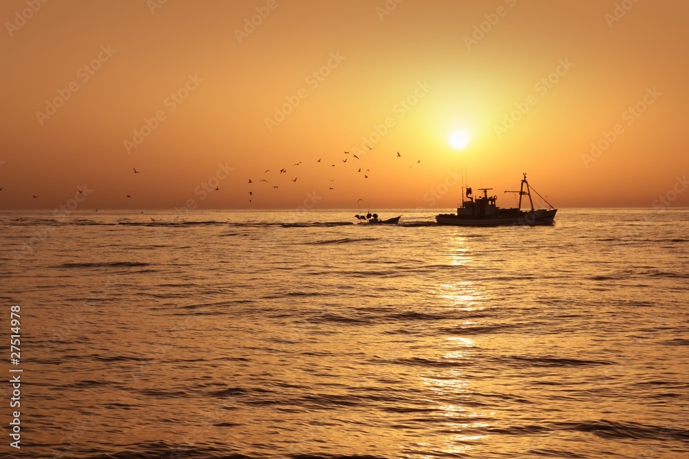 Fisherboat professional sardine catch fishery sunrise