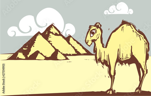 Camel Pyramid