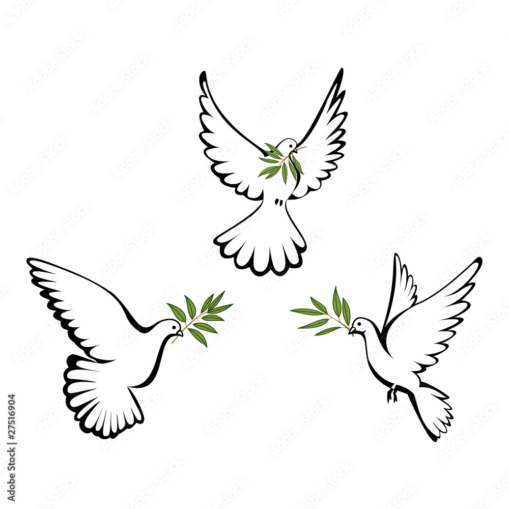 Fototapeta premium Peace dove