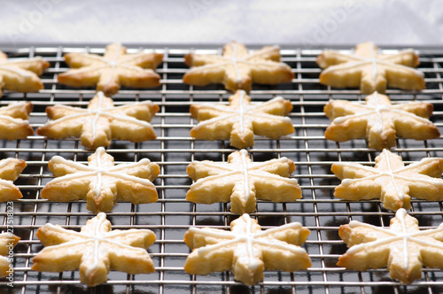 Decorated christmas cookies on the backing tray photo