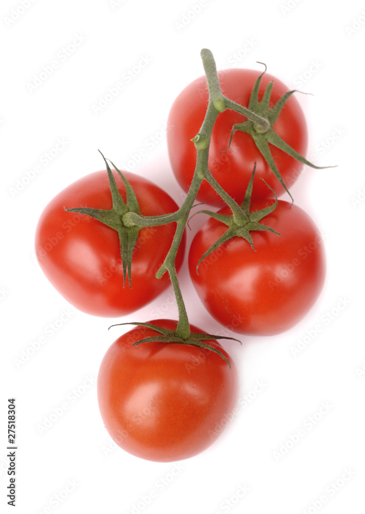 Red tomatoes on green branch isolated on white