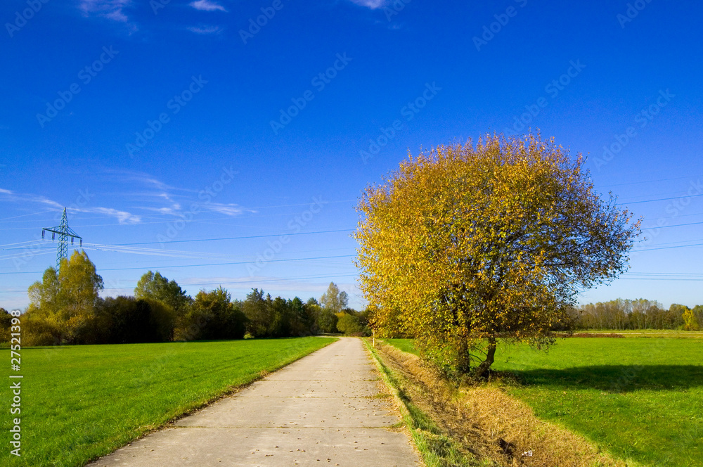 Feldweg Feldweg