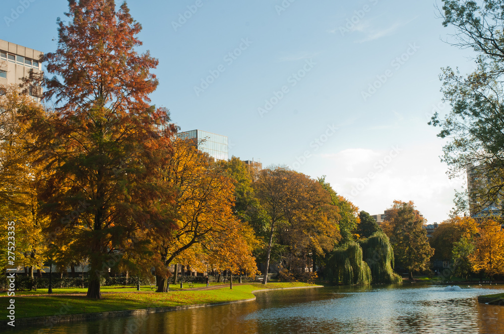 automne dans un parc de Bruxelles automne dans un parc de Bruxelles