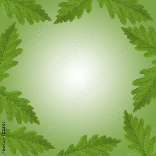 Oak Leaf Abstract Border