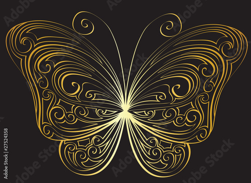 butterfly