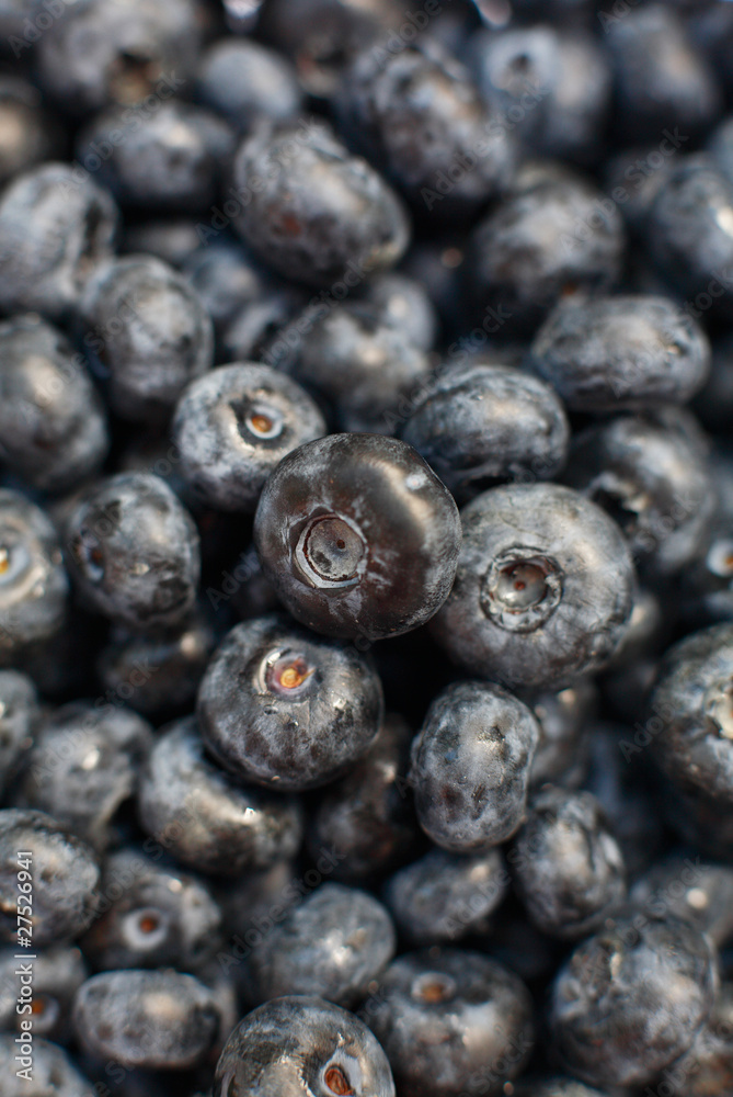 Fresh blueberries