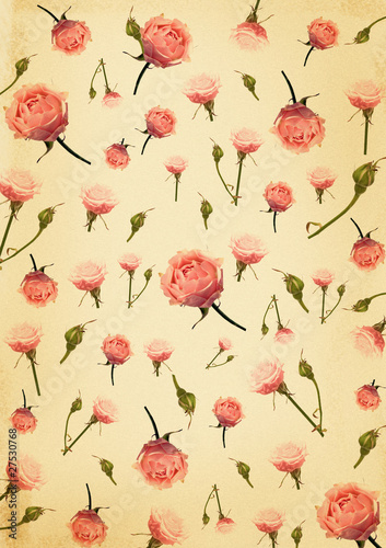 Wallpaper Mural background with tender pink roses Torontodigital.ca