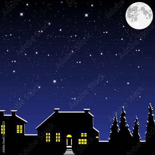 Village in the moonlight