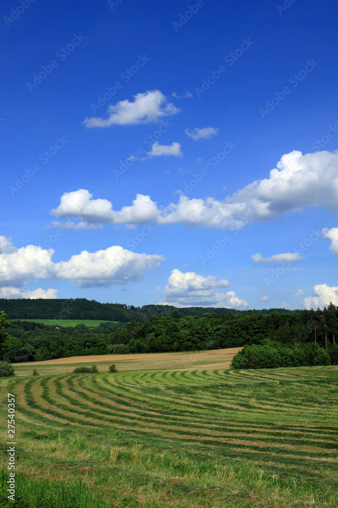 Czech landscape in summer with blue sky and white clouds