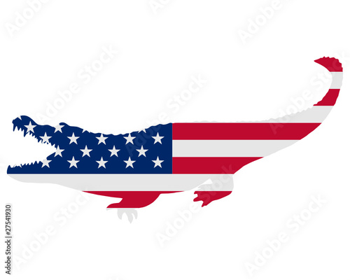 Amerikanischer Alligator
