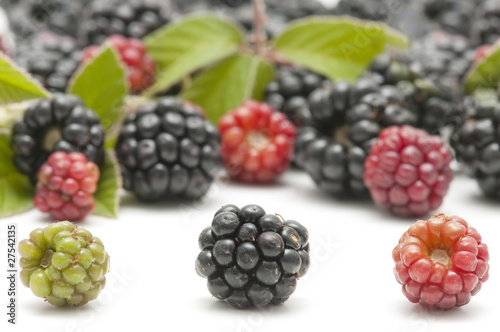 Wallpaper Mural blackberries Torontodigital.ca