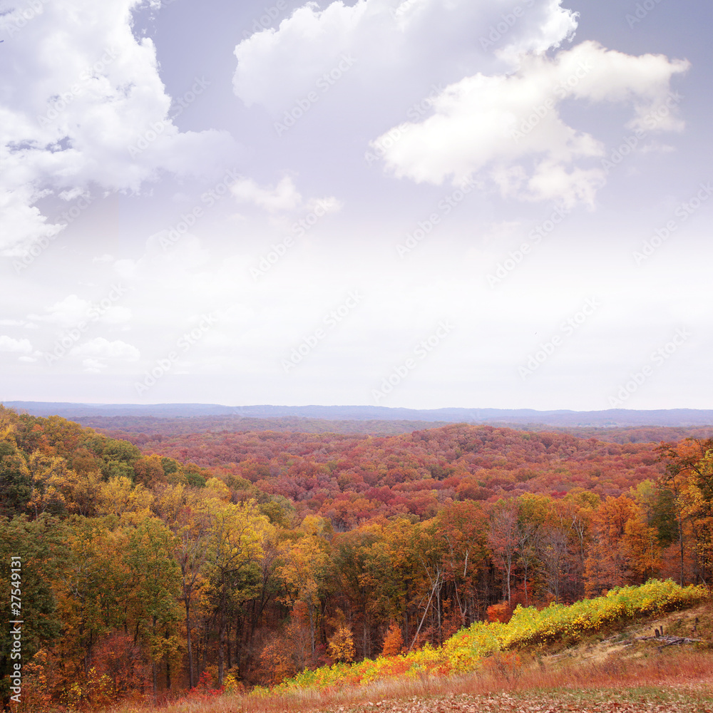 Fall scenic landscape