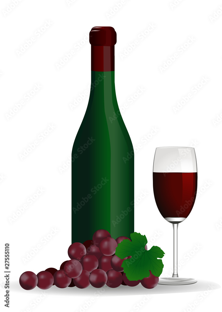 wine vector