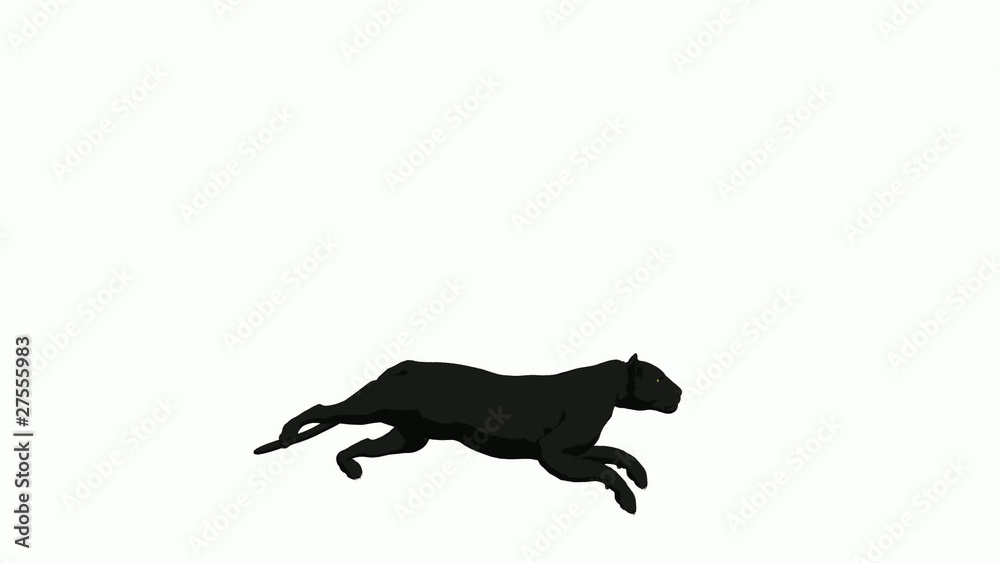 Black Panther Running