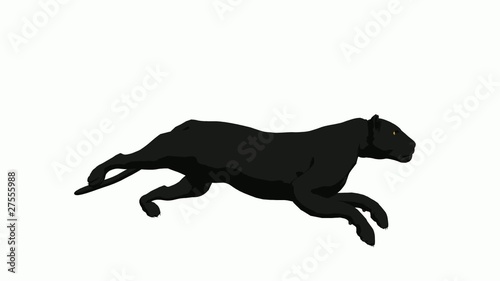 Black Panther Running