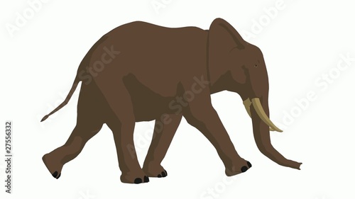 Elephant Walking