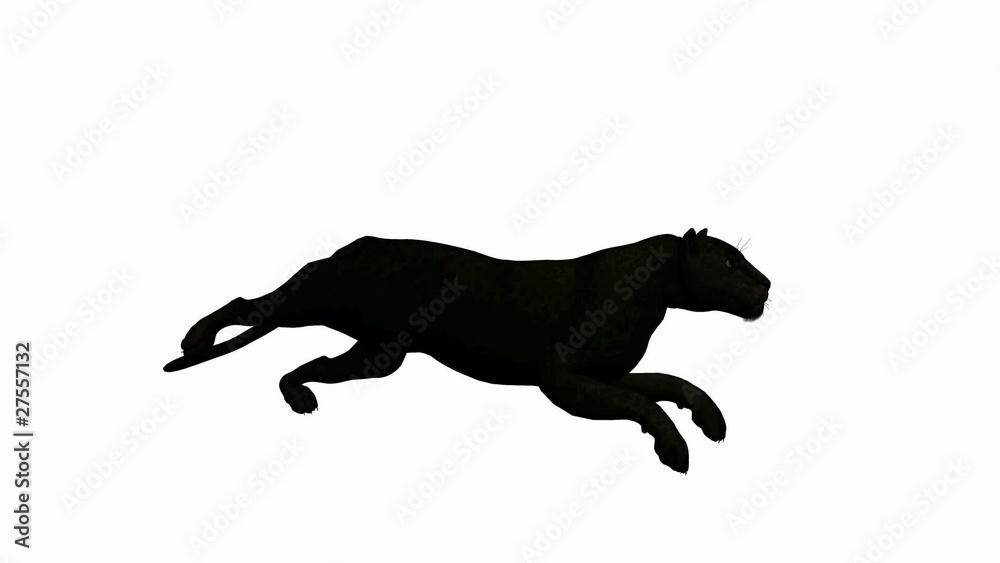 Black Leopard Running Black Leopard Running