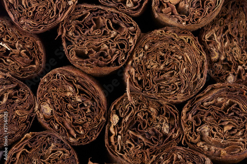 handrolled cigars