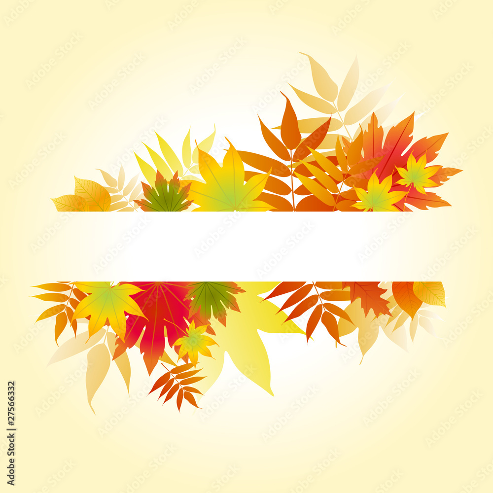 autumnal colored leaves