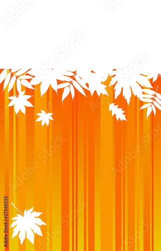 autumnal leaves on grange background