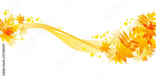 autumnal leaves on white background