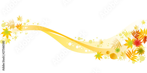 autumnal leaves on white background