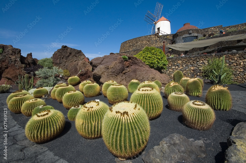 Ogród kaktusów, Lanzarote - obrazy, fototapety, plakaty 