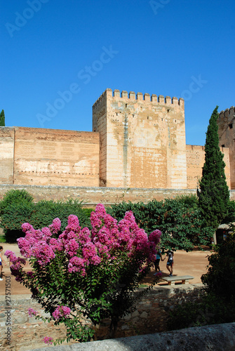 giardino castello alhambra Granada Spagna 2010