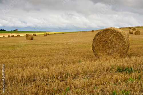 Field with straw bales