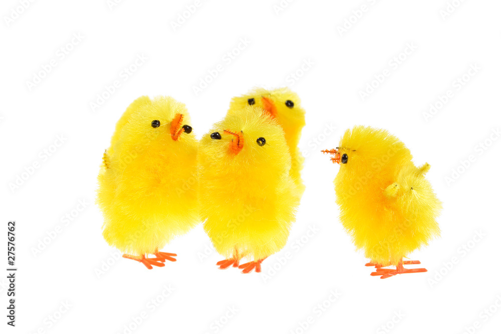 yellow chicklings