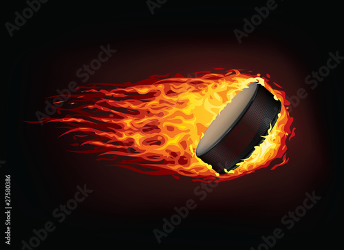Hockey Puck