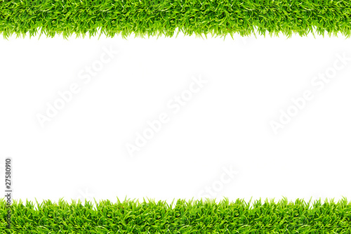 Grass frame isolated