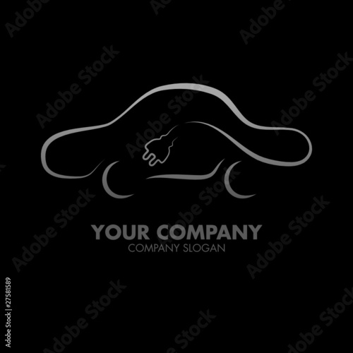 Electric Car Company