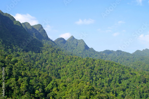 Rainforest hills on Langkawi island  Malaysia