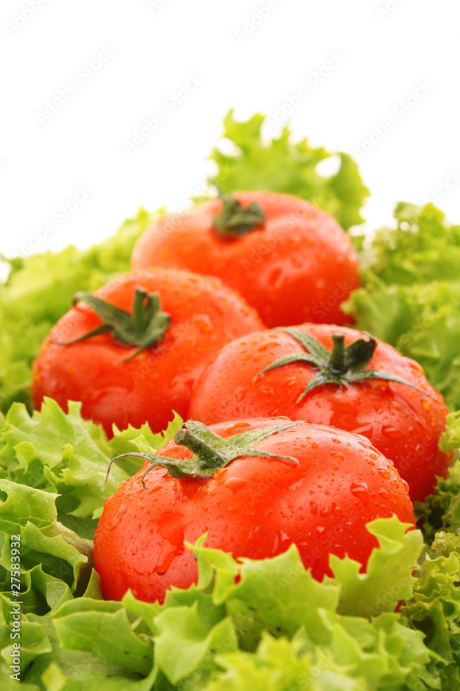 red tomato vegetables on the green salad background red tomato vegetables on the green salad background